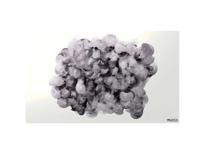 Bloom Shadows Artwork - Bold Expressions Collection - ImpresoUK